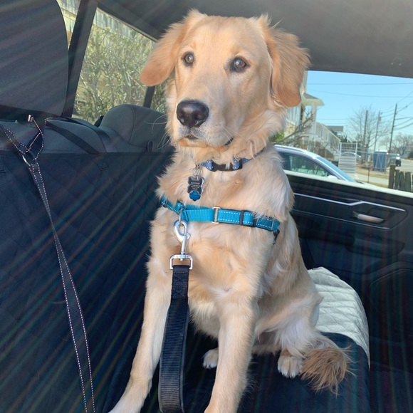 Meet your Posher, Kevin - Picture 2 of 2